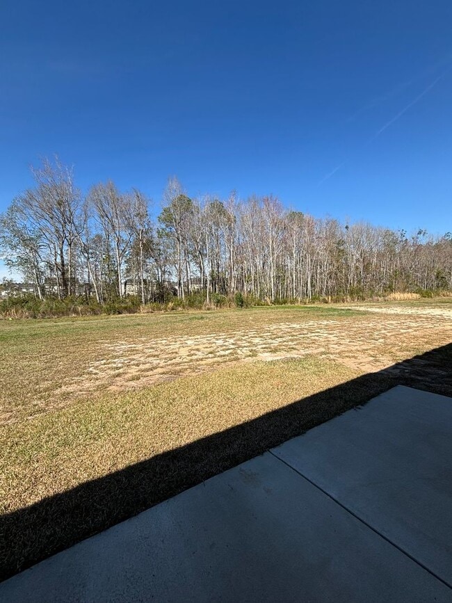 Building Photo - 134 Sunflower Cir NE