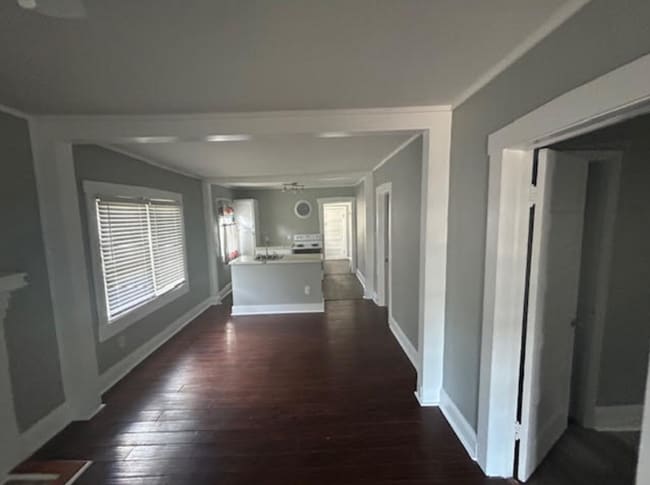 Building Photo - Downtown Lakeland Rental!!