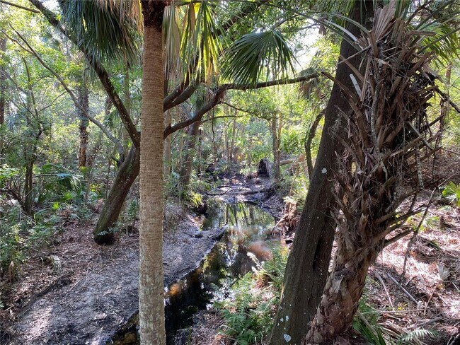 Building Photo - 6360 Water Crest Way