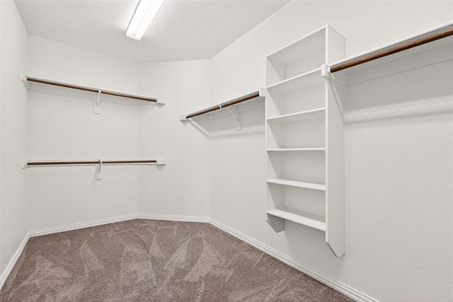 Building Photo - 1356 Francesca Dr