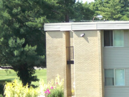 Building Photo - 1249 Hampshire Pike