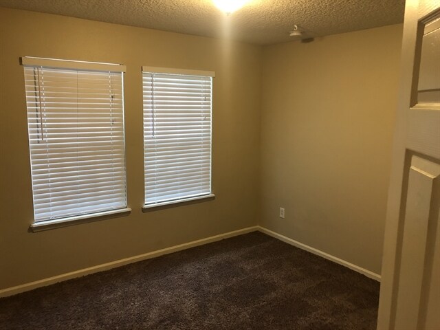Building Photo - 3305 New Beginnings Ln