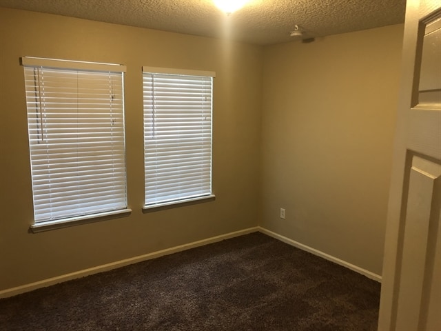 Building Photo - 3305 New Beginnings Ln