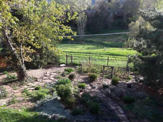 Back yard - 686 Partridge Cir