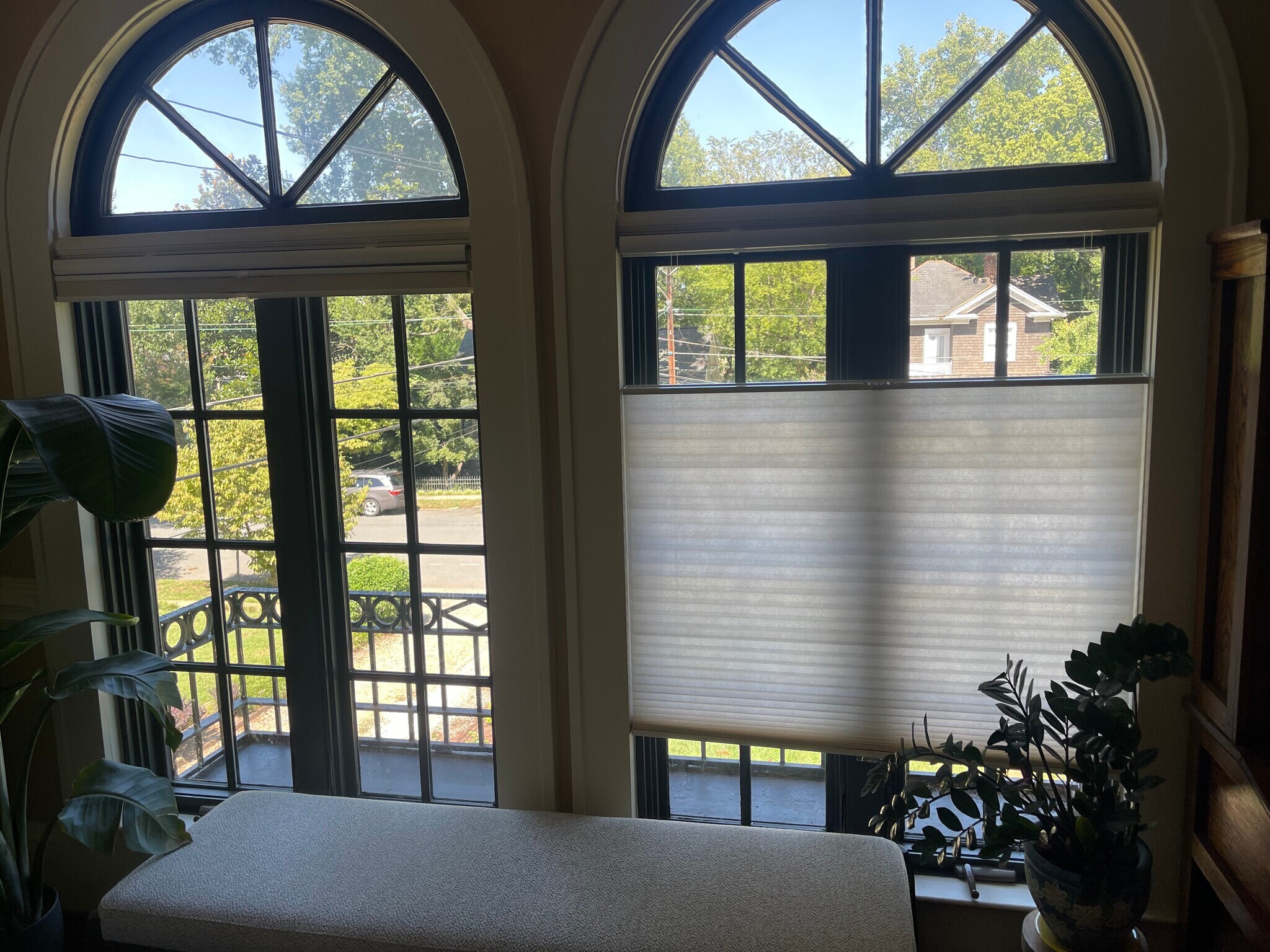 architectural palladian windows in front living room - 418 Clement Ave