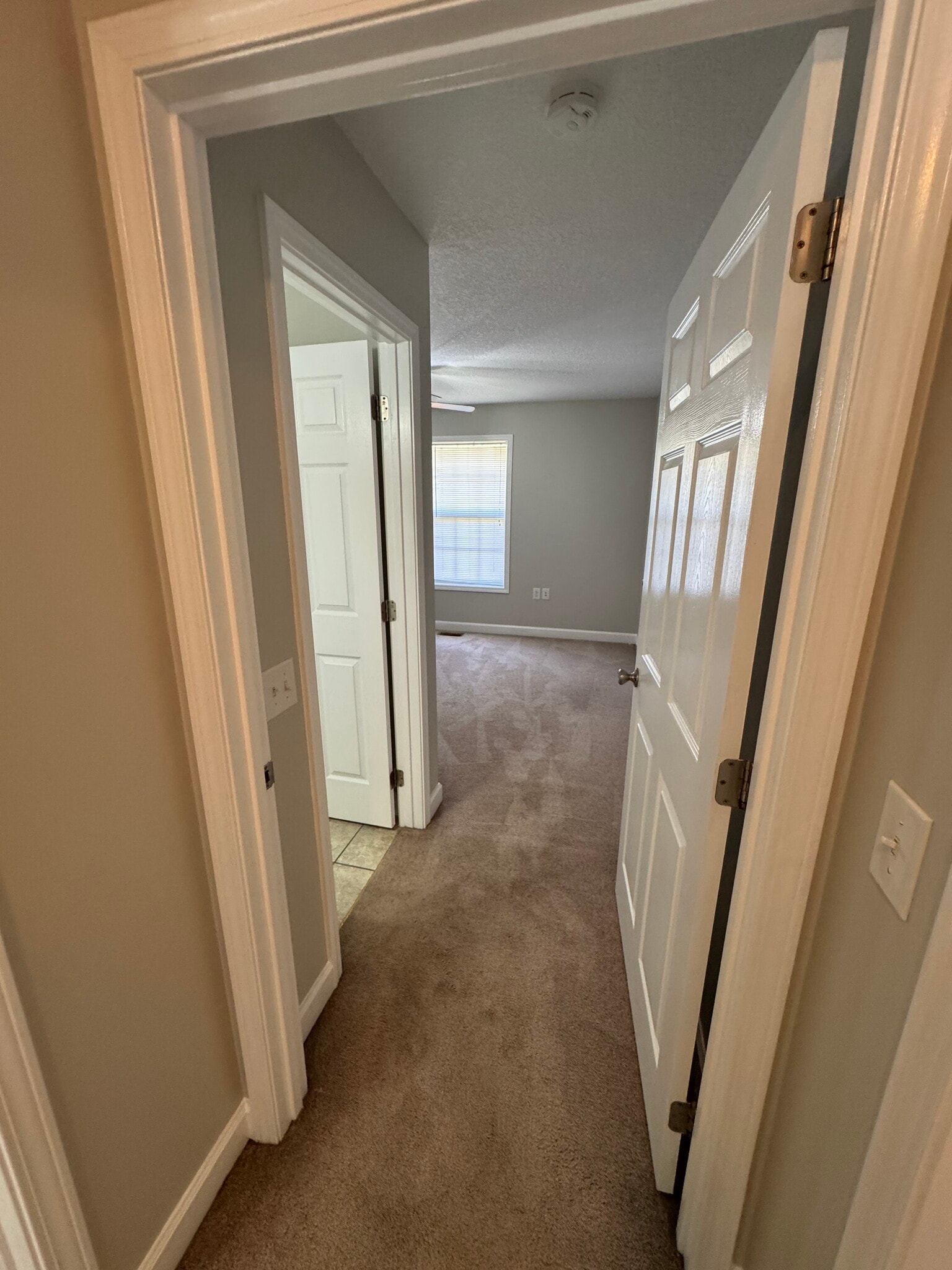 Building Photo - 50 Shadow Ridge Ln
