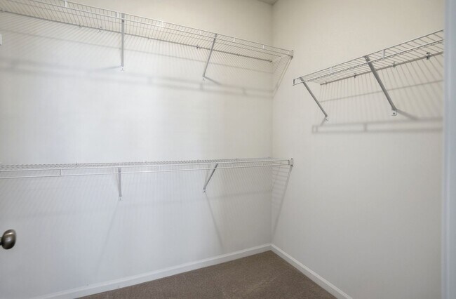 Building Photo - Brand-New Townhome in the University area at Senata at Research Park!