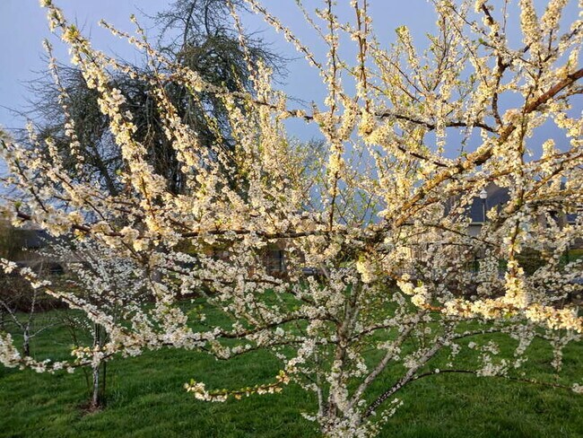 Building Photo - 19105 NE 112th Ave
