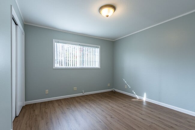 Building Photo - Beautiful & bright 3 bed / 2 Bath San Brun...