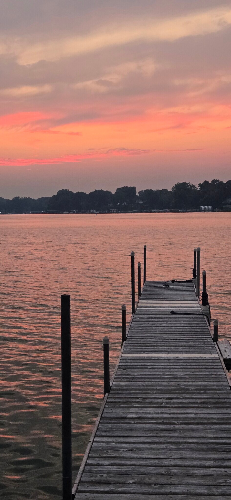Enjoy your evenings watching the sun go down - 2003 Arbor Ln