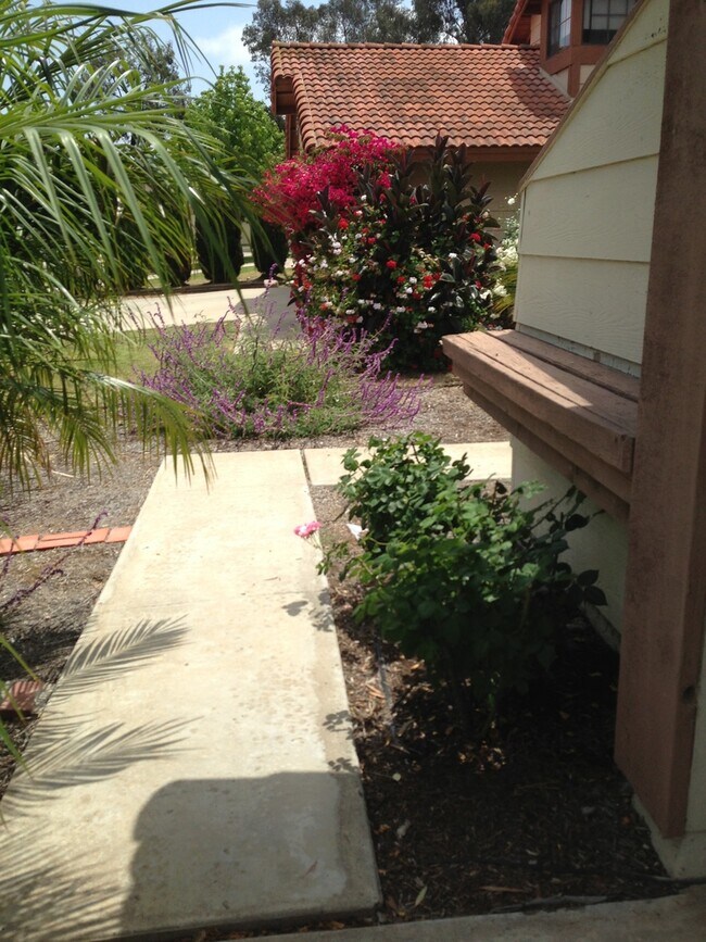 Building Photo - Large Mira Mesa Home!