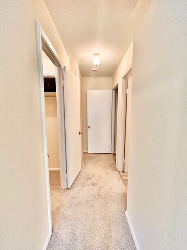 Building Photo - Cozy Oasis in Rockville!