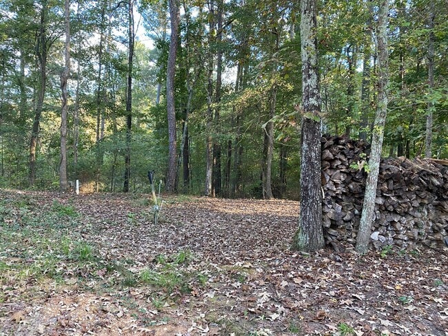 Building Photo - 2 Bedrooms, 2 Bathrooms - Home in Cedar Bl...
