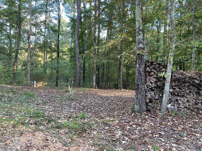 Building Photo - 2 Bedrooms, 2 Bathrooms - Home in Cedar Bluff!