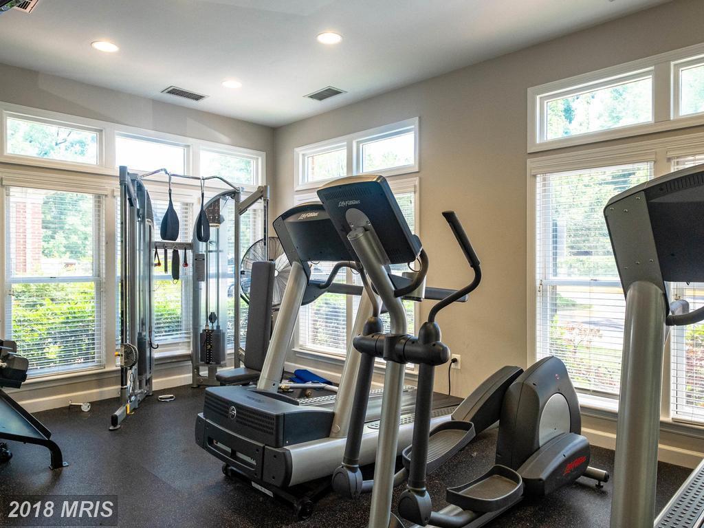 Building Photo - 1701 Lake Shore Crest Dr