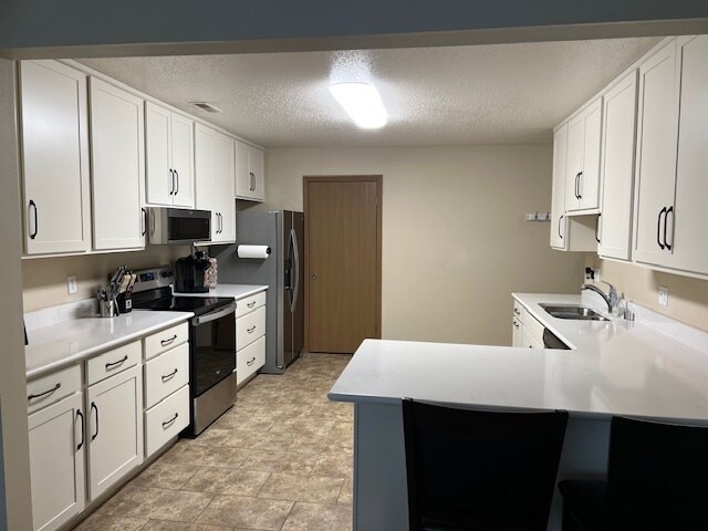 Quartz & Stainless Steel Appliances - 2815 Lakeshore Dr