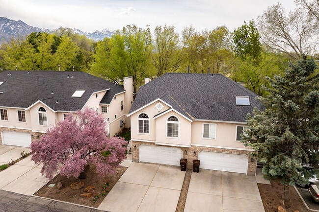 Building Photo - 2024 Cotton Willow Ln