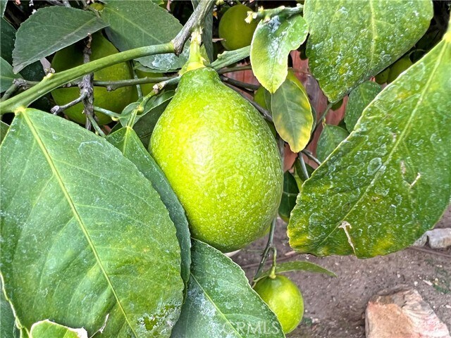 Building Photo - 3320 Campus Ave