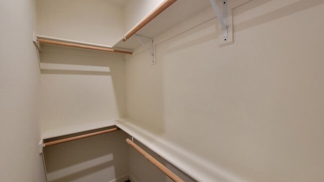 Building Photo - 5000 Ava Angele Court