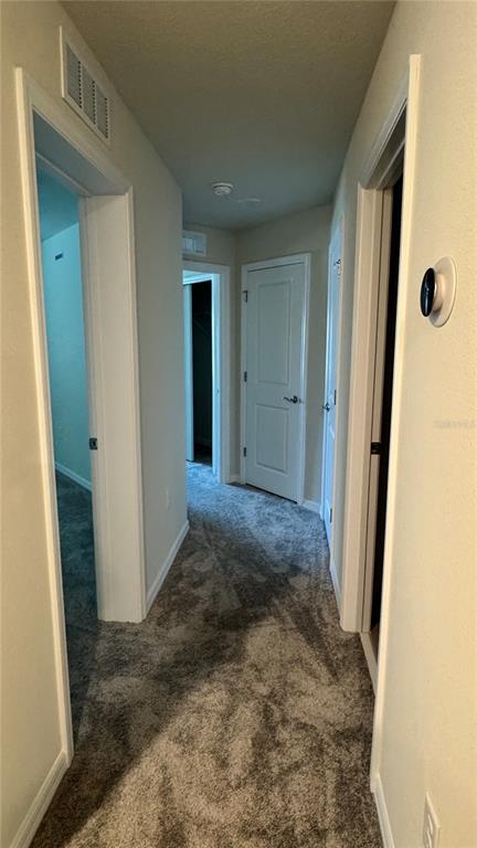 Building Photo - 3167 Emerald Acrs Ln