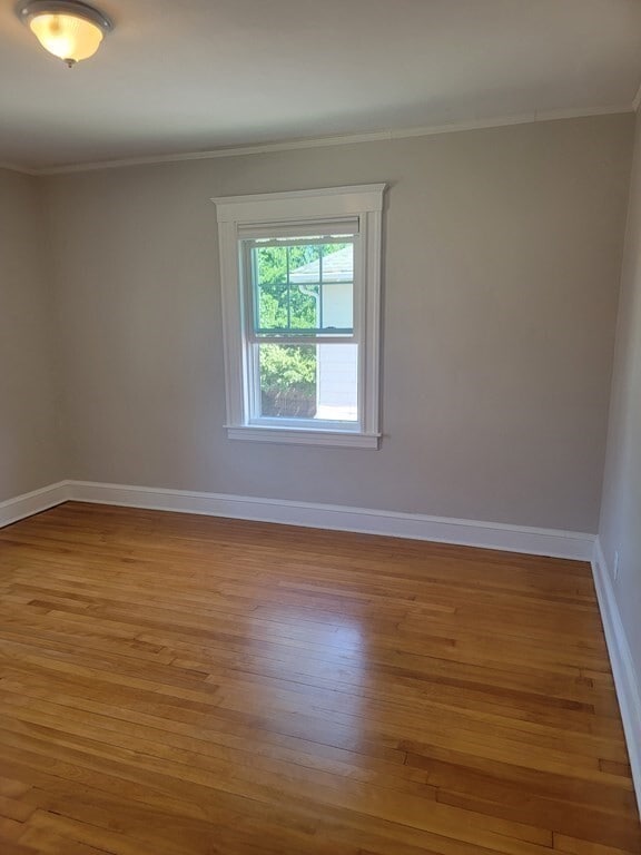 Building Photo - 29 Noble St