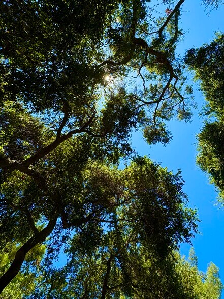 Building Photo - 1619 Oak Dr