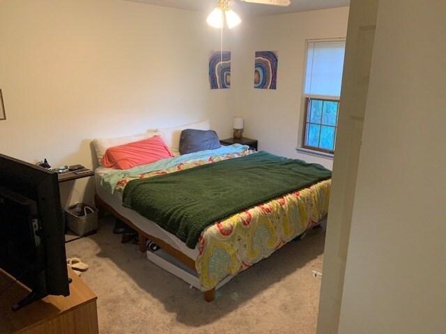 Master bedroom as seen from the hallway - 917 Rose Hill Ave