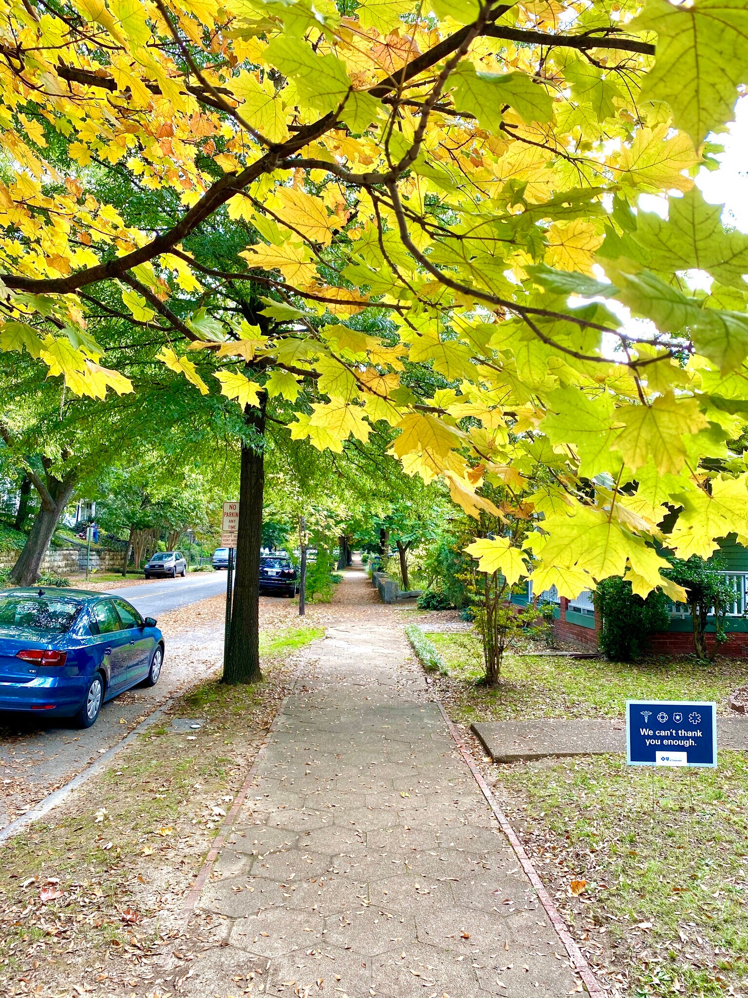 Located in the stunning Historic Fortwood District - 816 Oak St