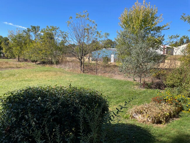 Building Photo - 1417B 2nd St