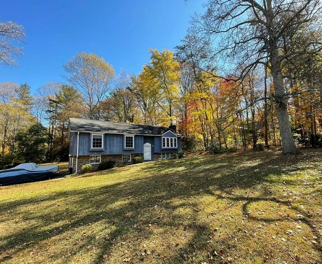 Building Photo - Mills River Rental!