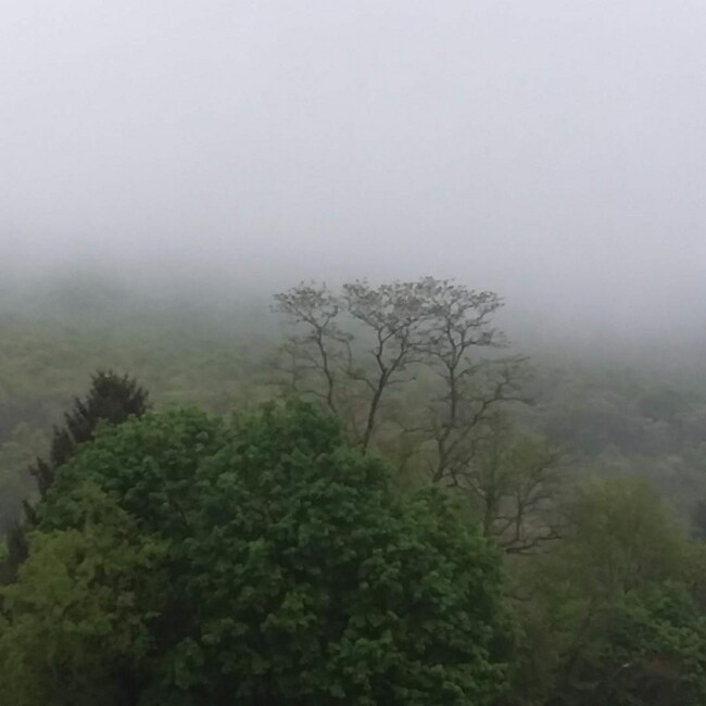 Building Photo - 628 Center St