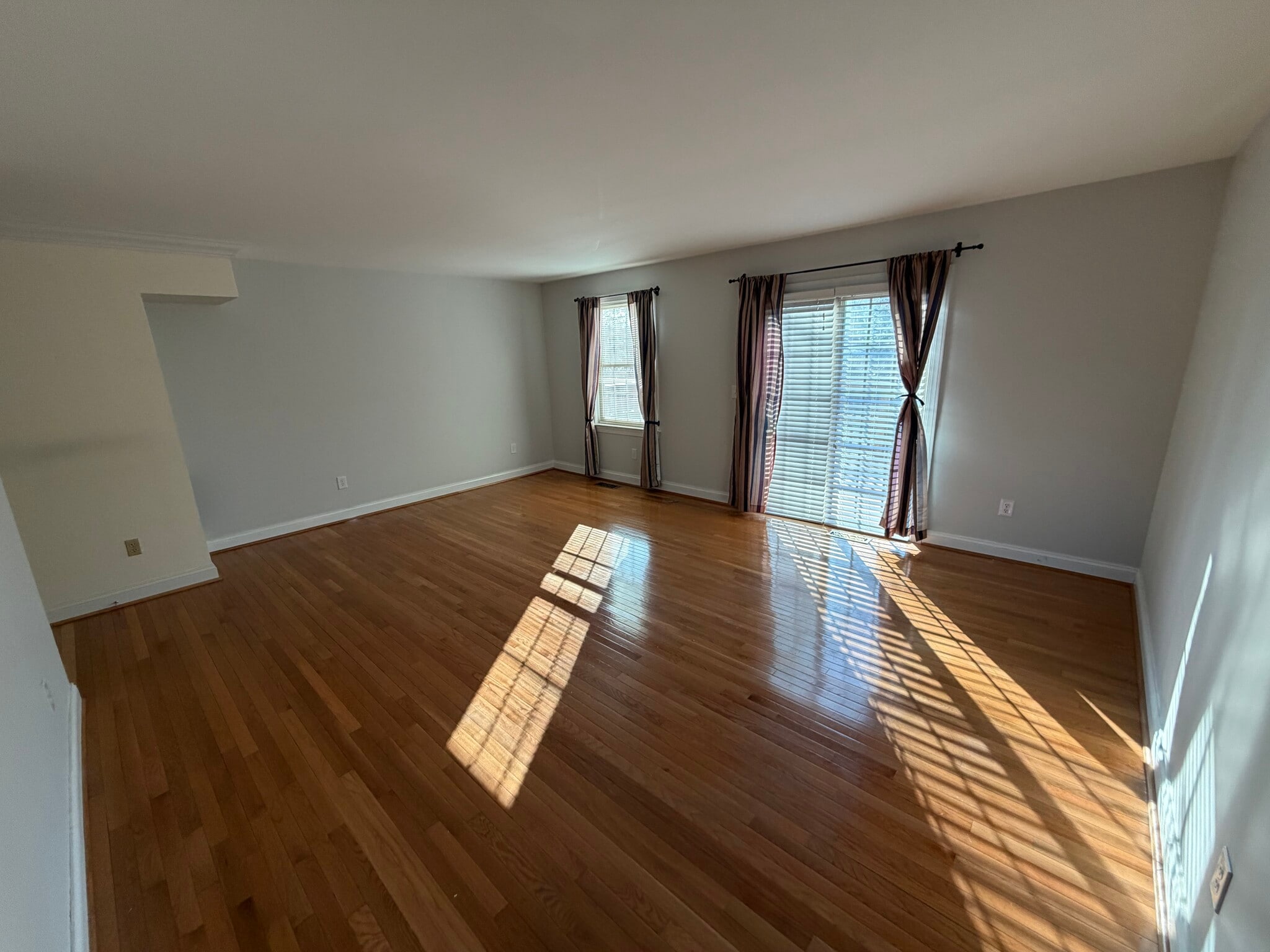 Living room - 64 Scotch Cap Rd