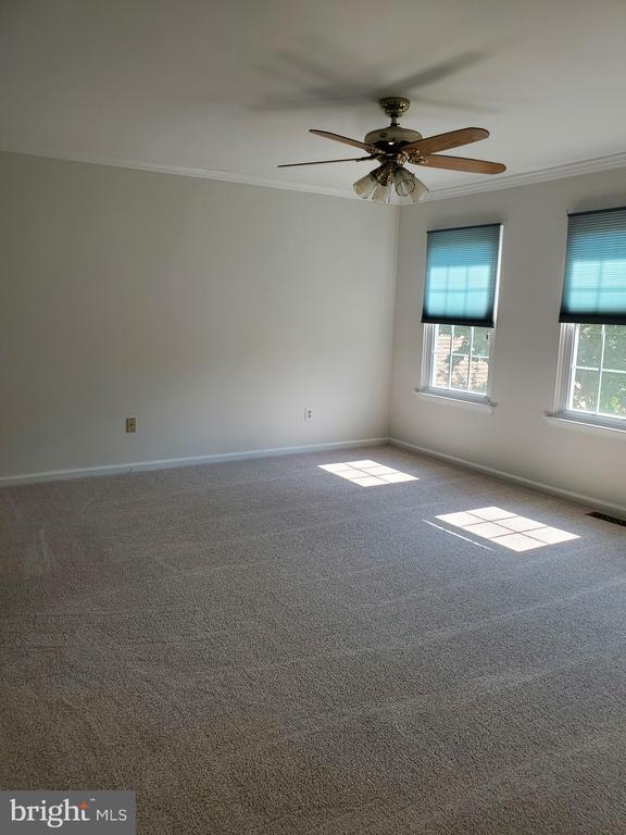 Building Photo - 261 Tulip Tree Ct