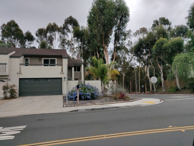 Street View - 10709 Portobelo Dr