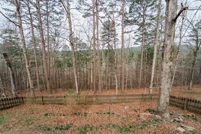 Building Photo - 3 Bed, 2 Bath with a beautiful view of the wooded back yard!!