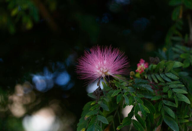 Building Photo - 6595 Parkview Dr