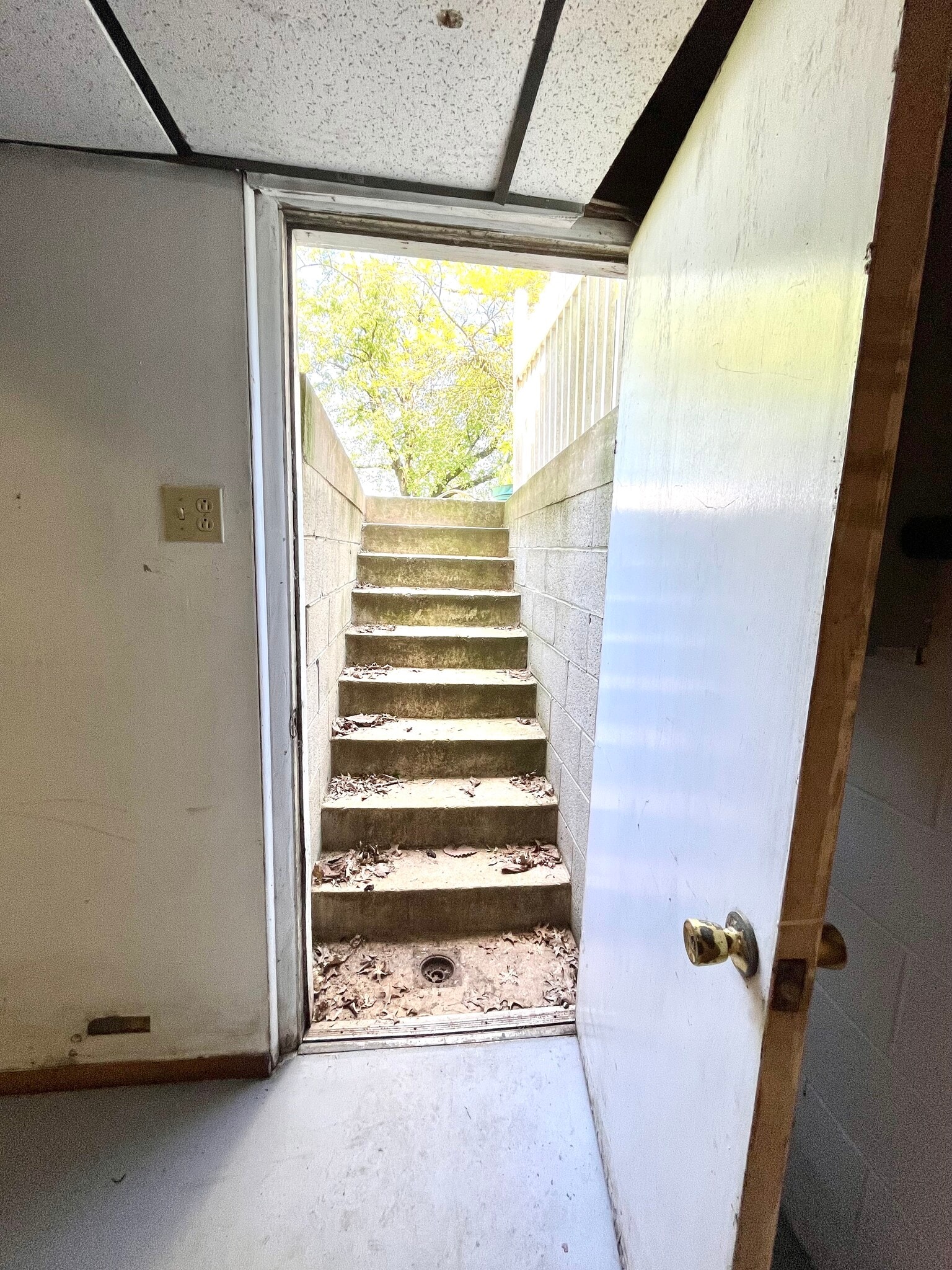 Building Photo - 117 Elmwood Rd