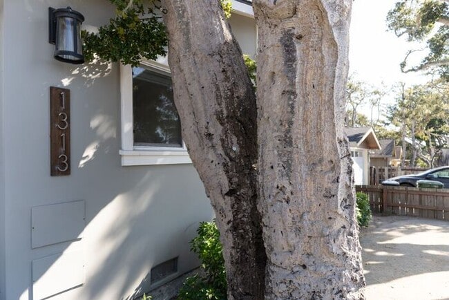 Building Photo - Remodeled Pacific Grove 2-Bedroom with Gourmet Kitchen
