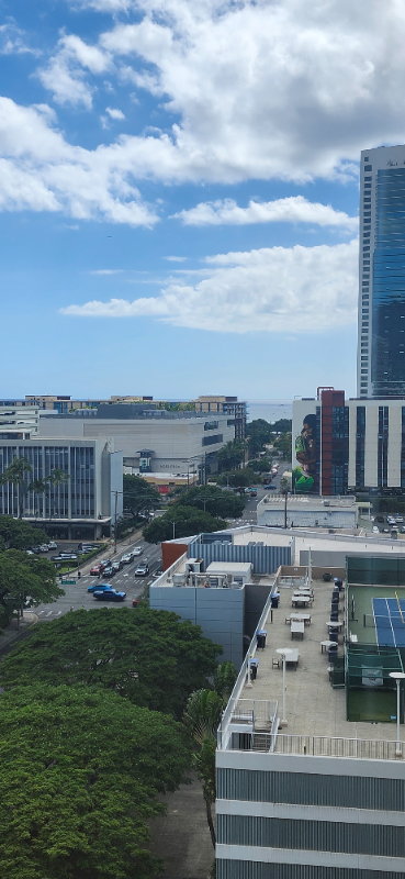 Building Photo - 1296 Kapiolani Blvd