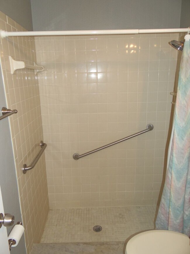 Building Photo - 2/2 condo in Dunedin - 55+ community