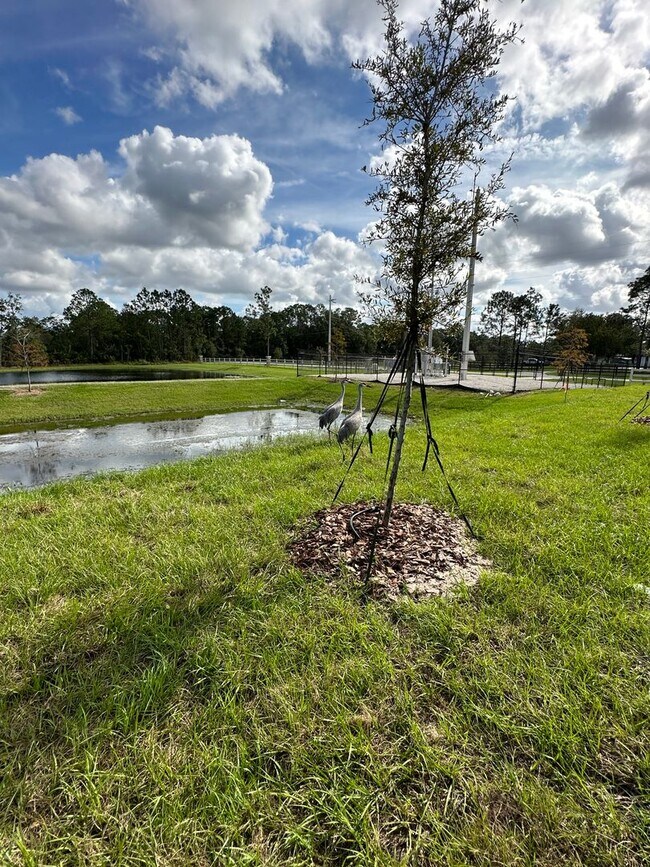 Building Photo - Stunning 4/2 close to Lake Nona!!