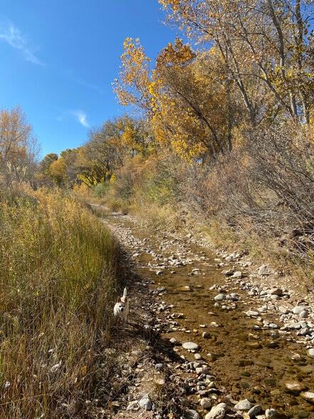 Building Photo - 28 NM-503