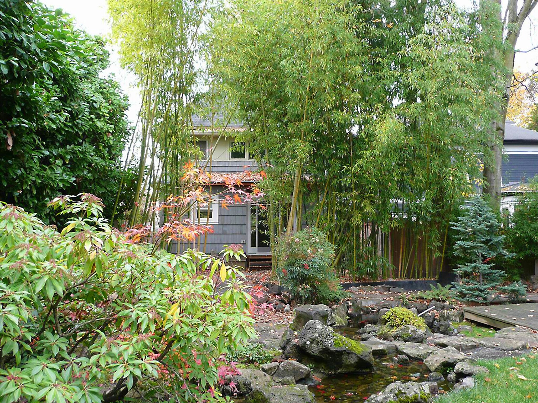 View from koi pond to deck and bathroom window - 1114 SE 30th Ave