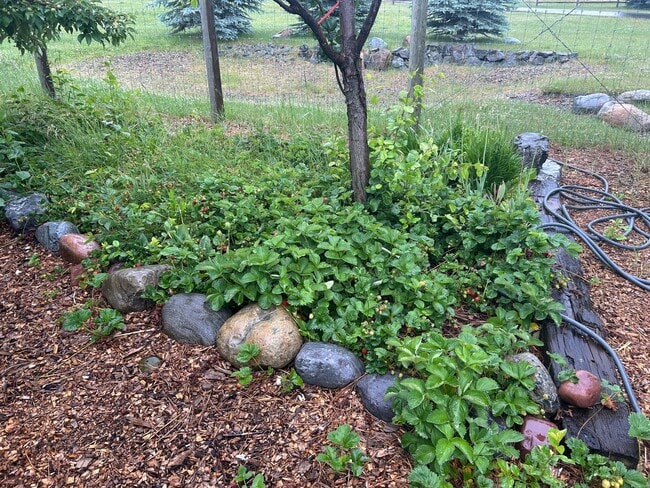 Building Photo - Amazing Home on the River with Greenhouse,...