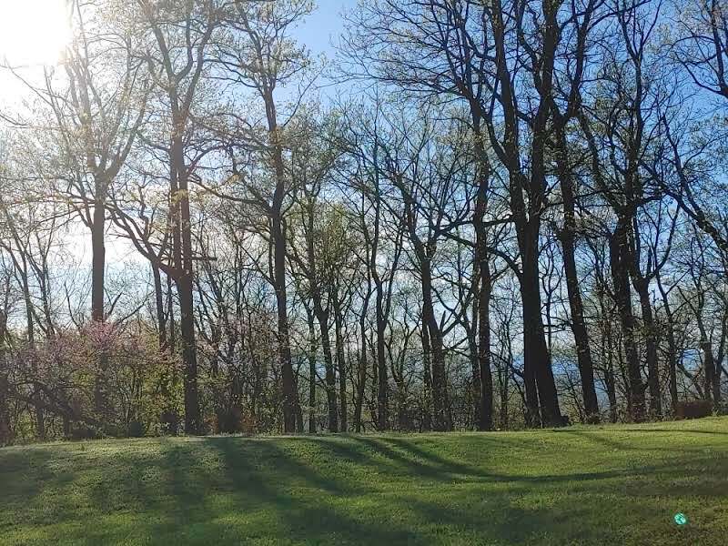 Building Photo - 708 Wilderness Rd