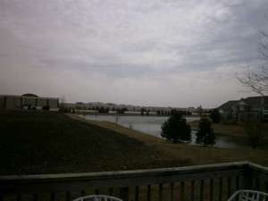 Building Photo - 431 Nelson Dr