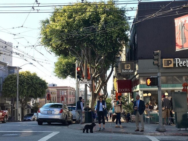 Fillmore Street - 2127 Fillmore St