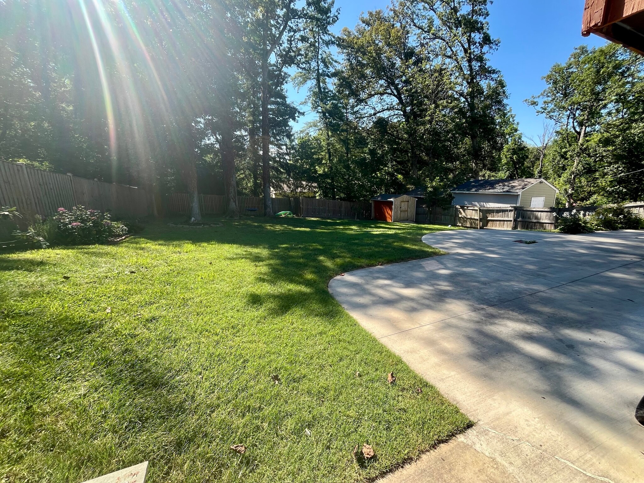 Backyard - 13202 Wilton Oaks Dr