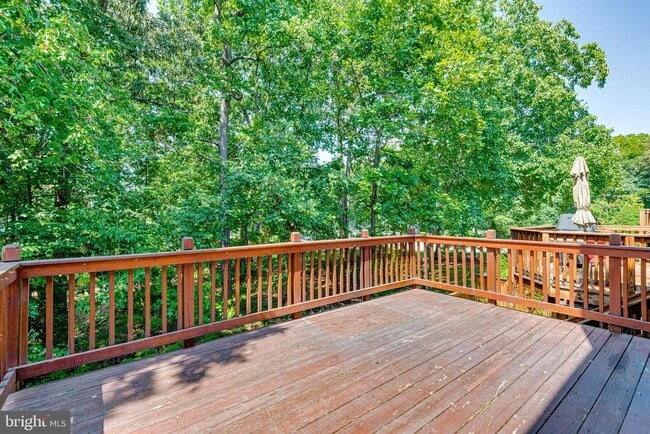 Building Photo - 8508 Blue Bird Woods Ct
