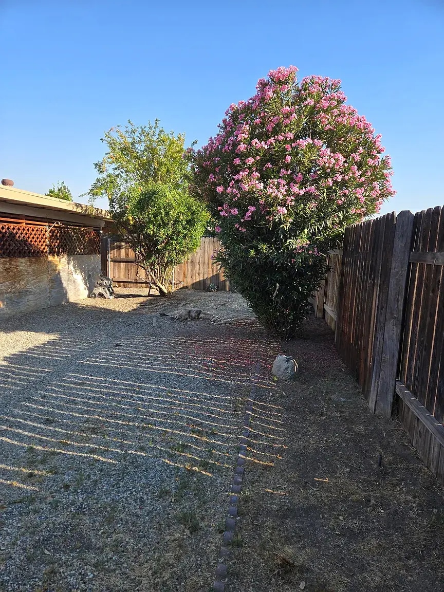 Building Photo - 573 San Rogelio St